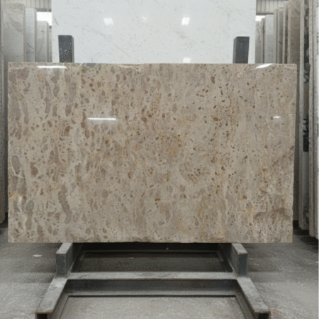 Indian Beige Fossil Marble