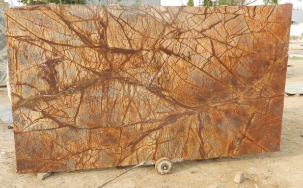 RAINFORESTBROWNMARBLE12021612171526